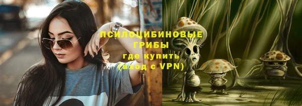 прущая мука Арсеньев