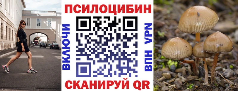 это наркотические препараты  Нижняя Салда  Псилоцибиновые грибы Psilocybine cubensis  продажа наркотиков 